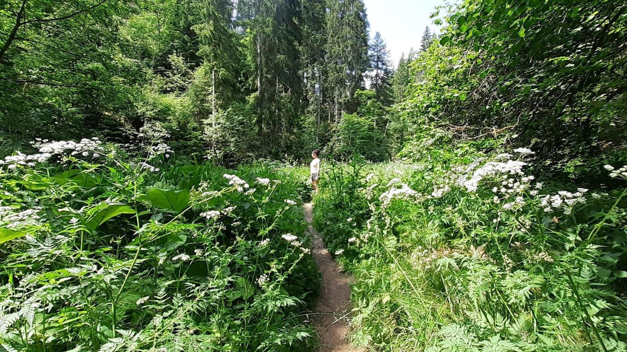 Landhaus Alpenpanorama über der Wutachschlucht Löffingen Exterior foto