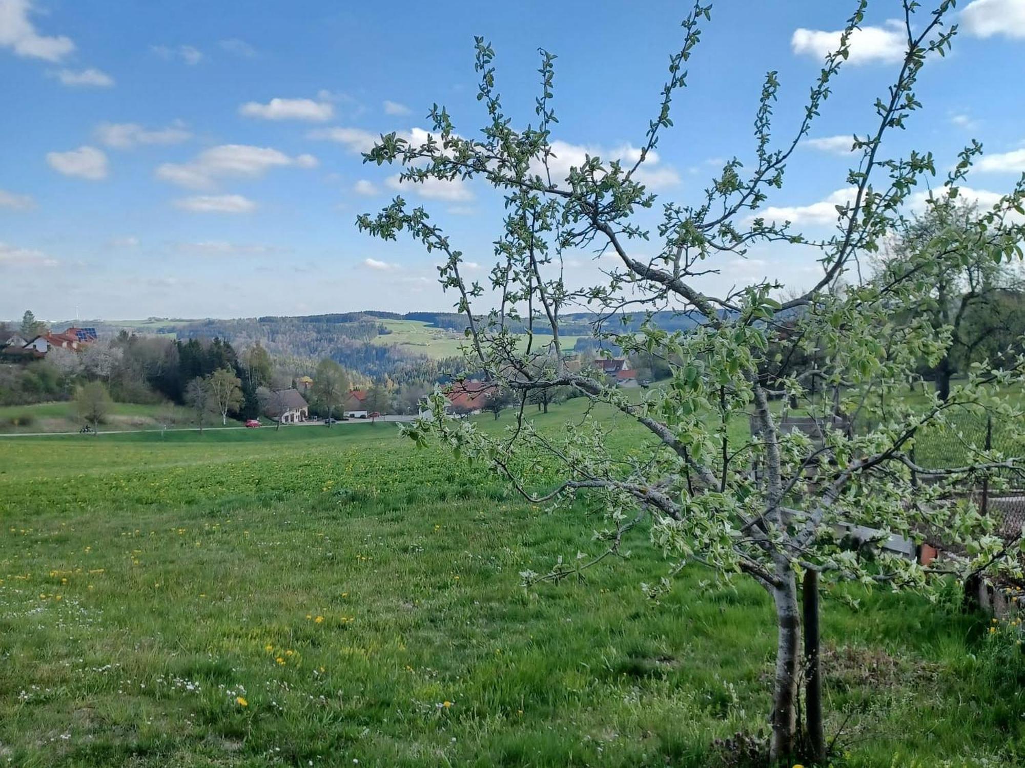 Landhaus Alpenpanorama über der Wutachschlucht Löffingen Exterior foto