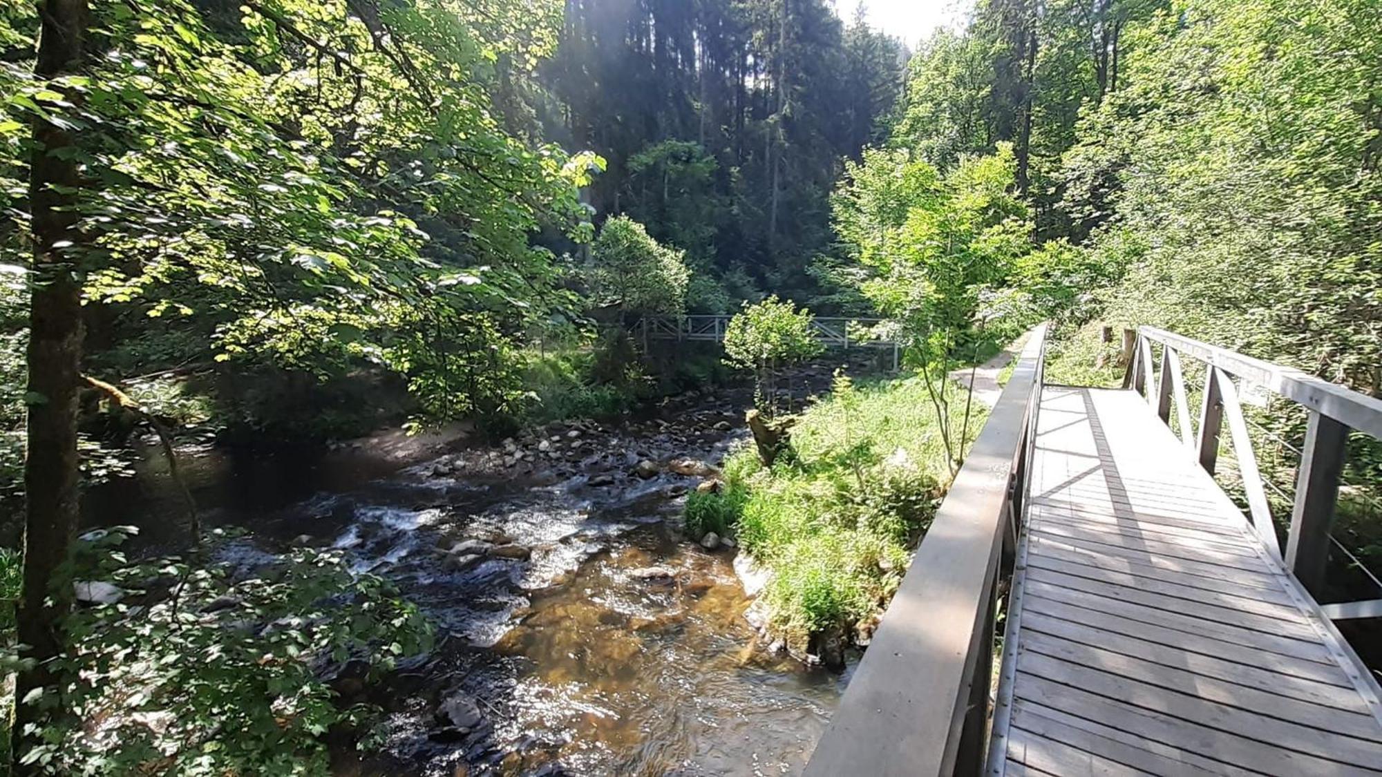 Landhaus Alpenpanorama über der Wutachschlucht Löffingen Exterior foto